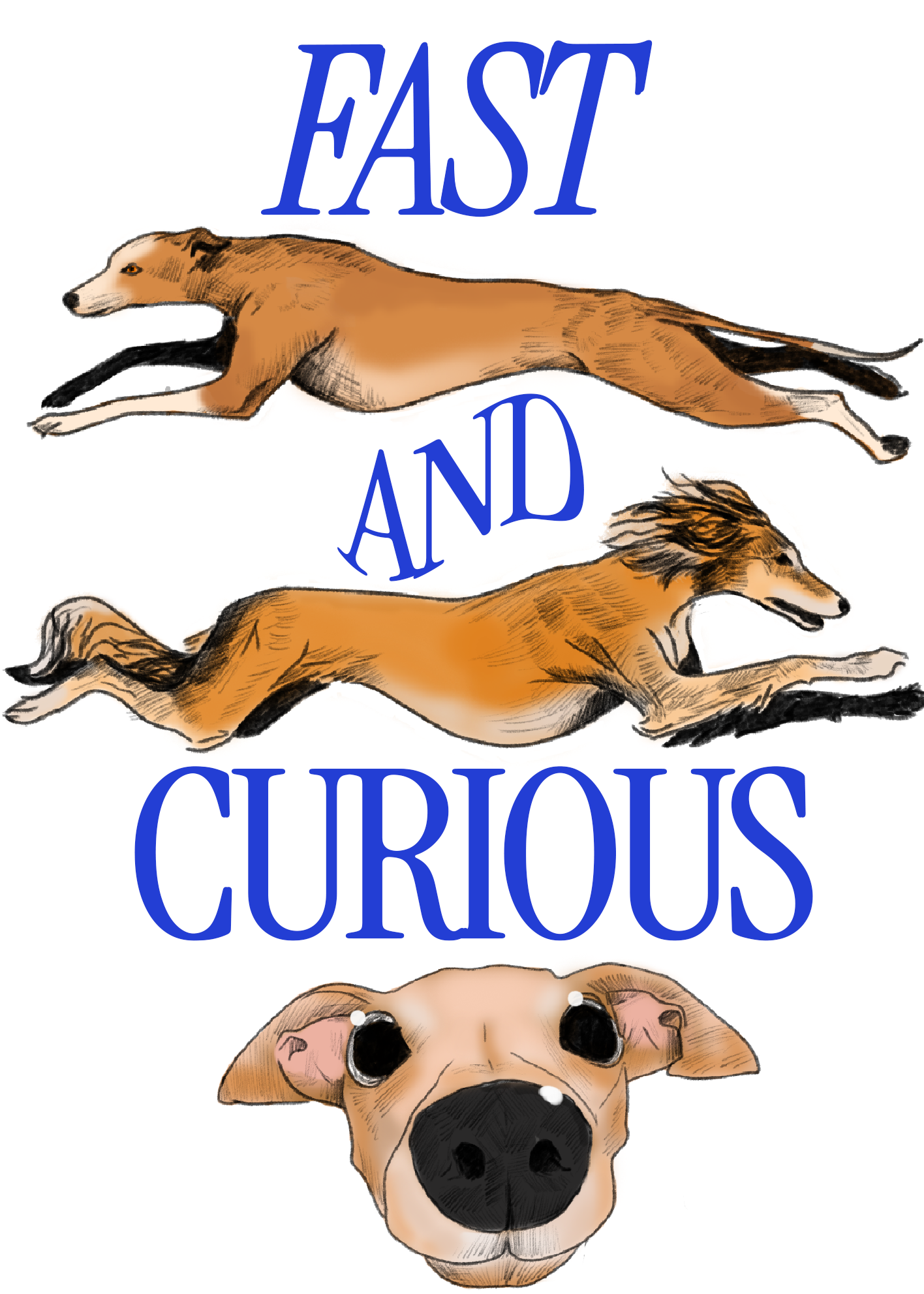 FAST AND CURIOUS