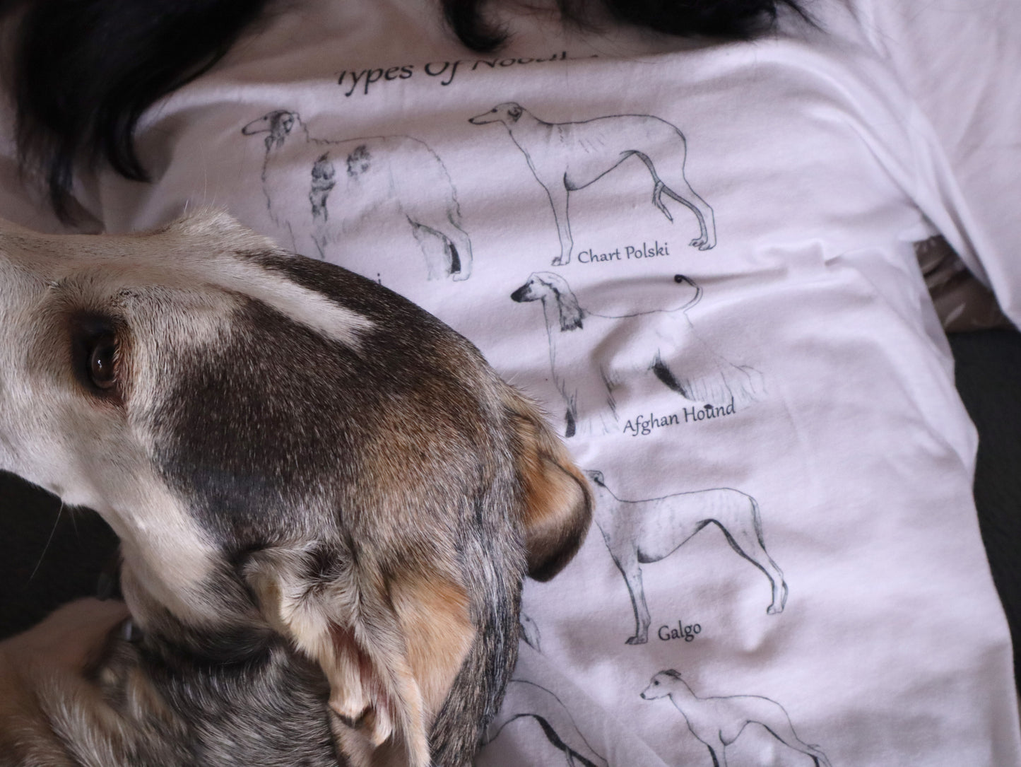 Types of Noodles Sighthound Breed Tee