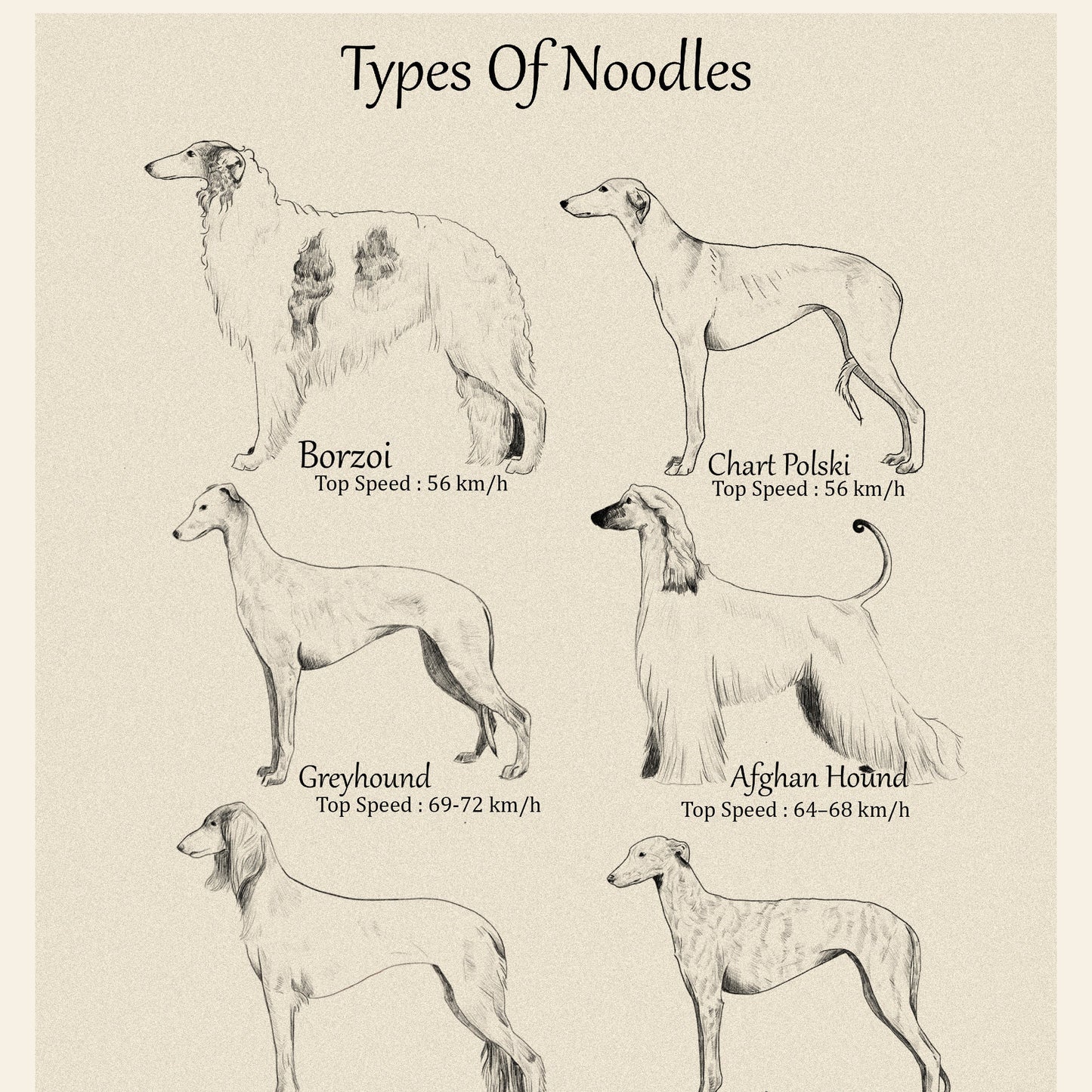 Download FREE Types of Noodles