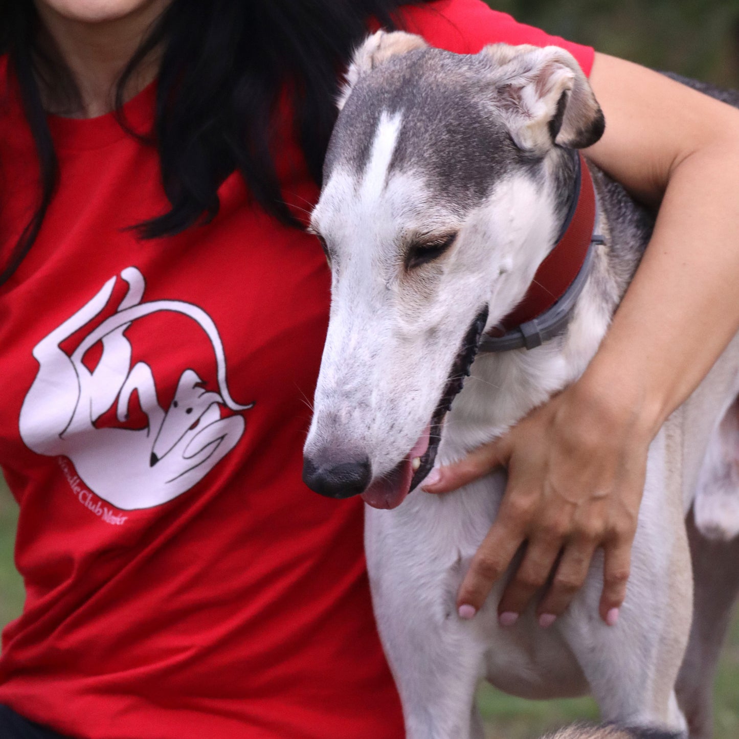 Person wearing a red shirt with a dog, outdoors