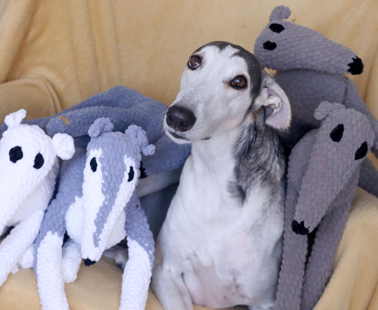 Cuddle Noodle - In Stock -Ready to Ship