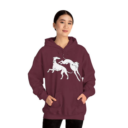 Greyhounds Play Hoodie , Sighthound Hoodie