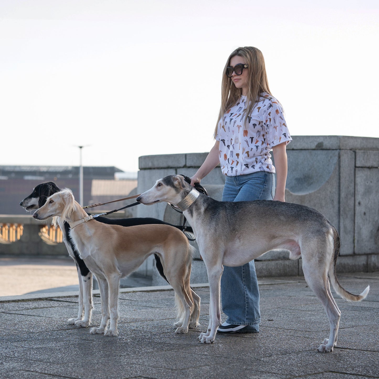 A Million Noodles Shirt for the Sighthound-Obsessed