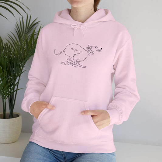 Zooming Noodle - Cozy Hoodie / Embroidery