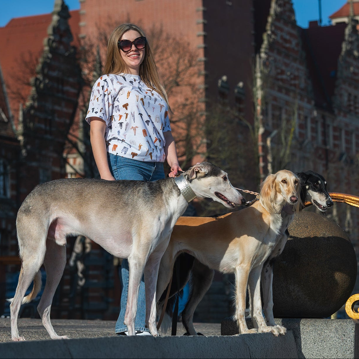 A Million Noodles Shirt for the Sighthound-Obsessed