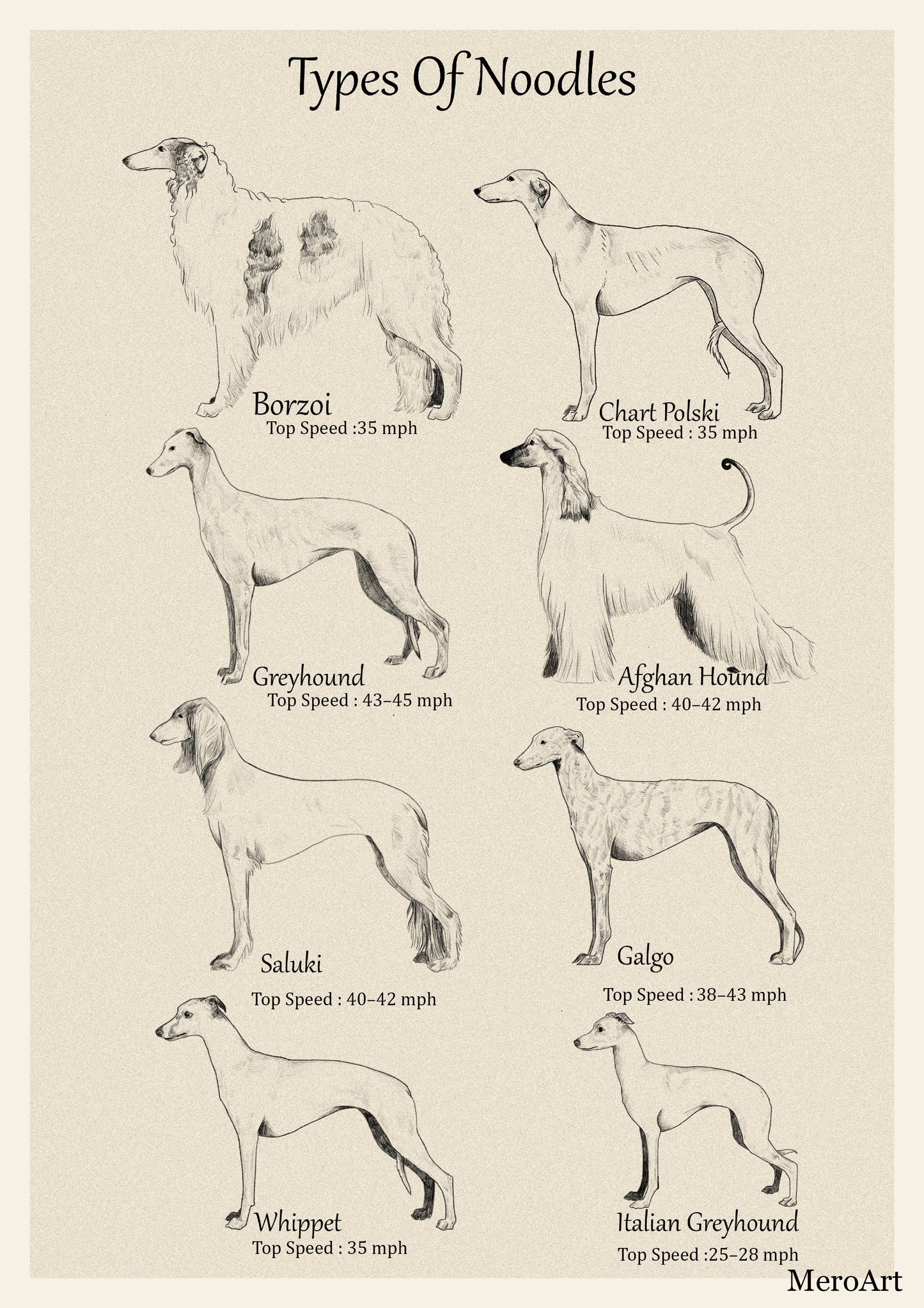Download FREE Types of Noodles