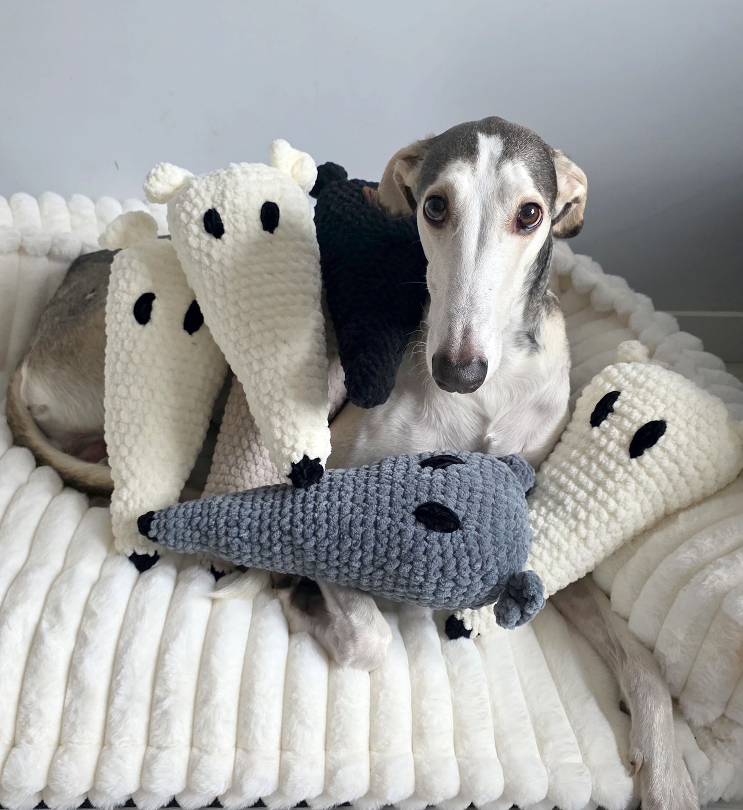 Cuddle Snoots (10 Available) - In Stock -Ready to Ship