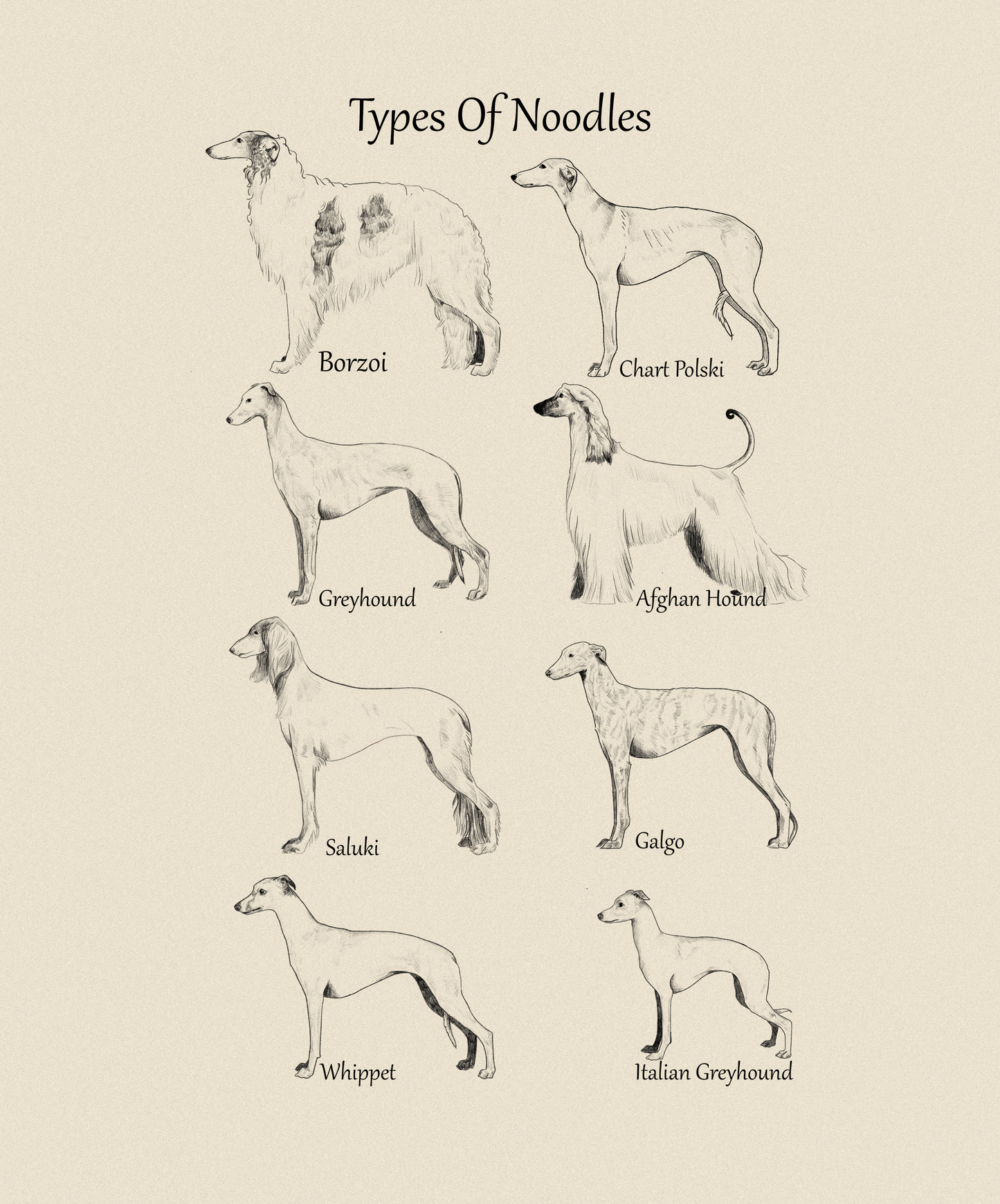 Download FREE Types of Noodles
