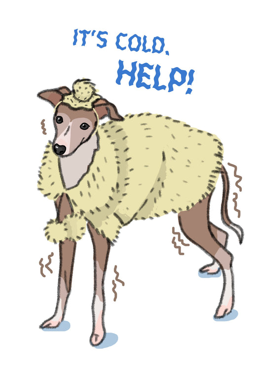 Italian greyhound in a yellow fur coat with text 'It's cold. Help!' on a white background