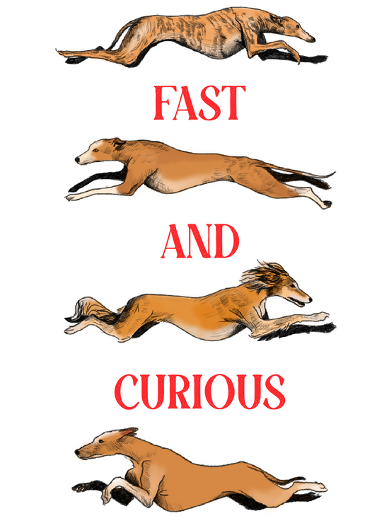 Download FREE - FAST AND CURIOUS artwork